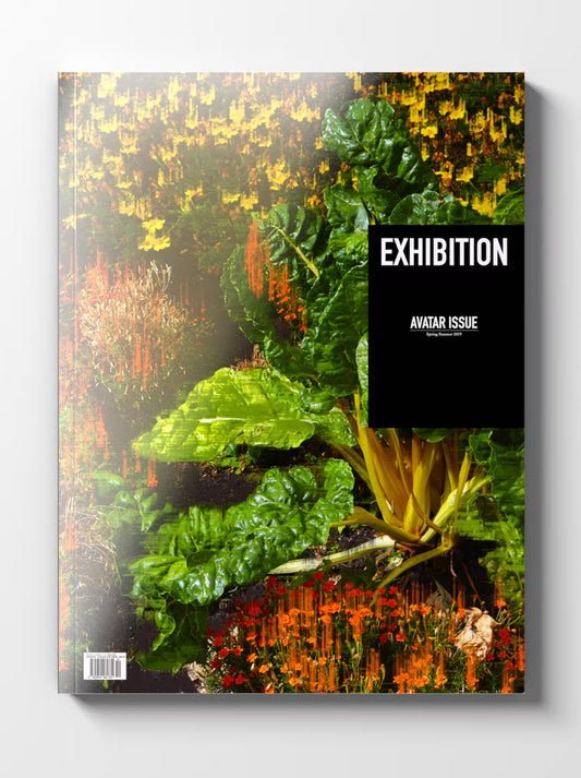 Exhibition Avatar Issue