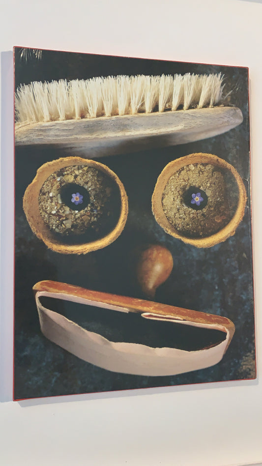 Le Colonel N°puzzle 336