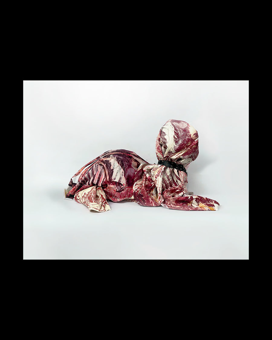 We Apologize Future N°1