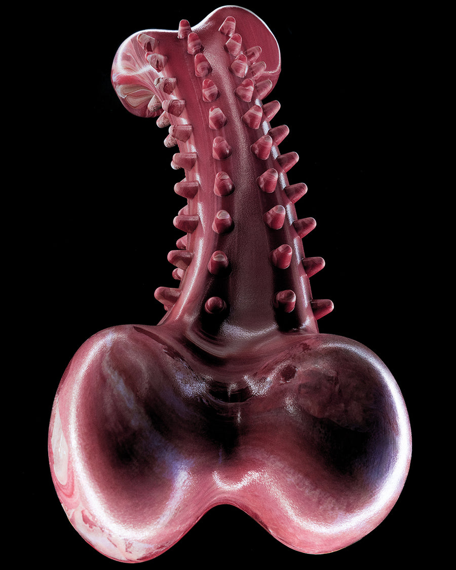 We Apologize Future N°1