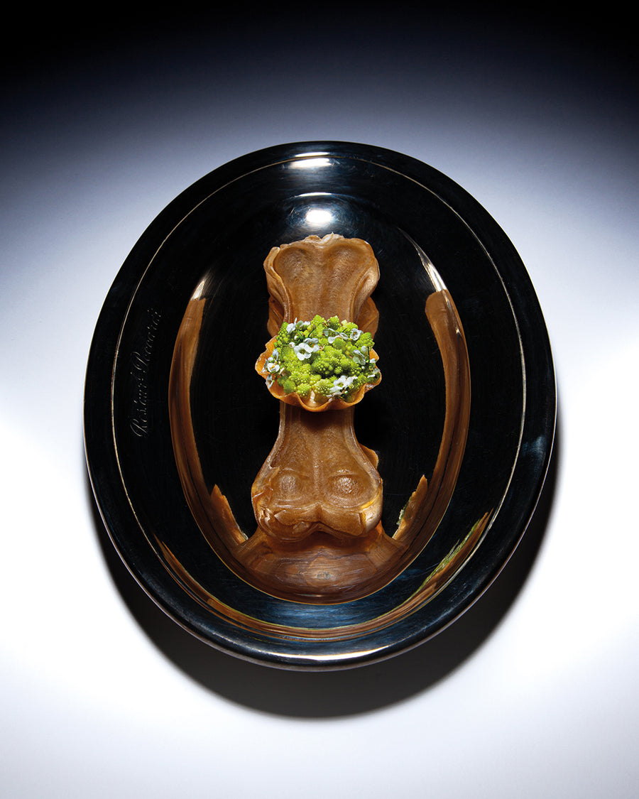 We Apologize Future N°1