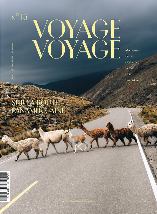 Voyage Voyage N°15