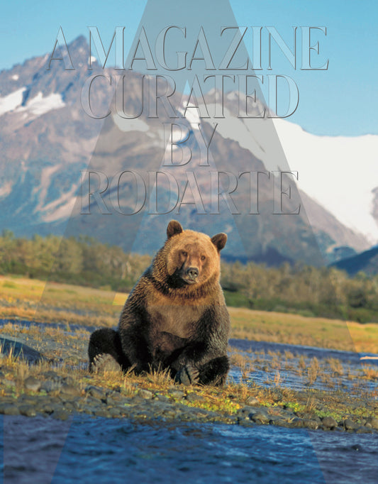 A Magazine Curated By N°11