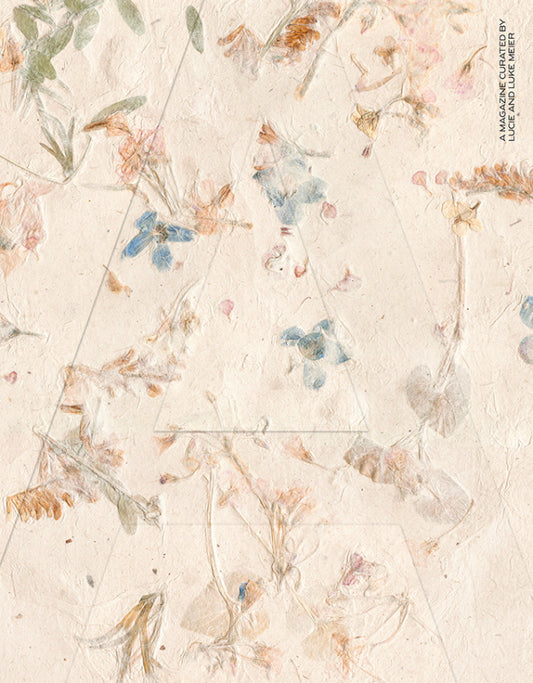 A Magazine Curated By N°21