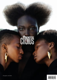 Cactus N°9-4