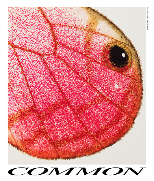 Common Language N°12