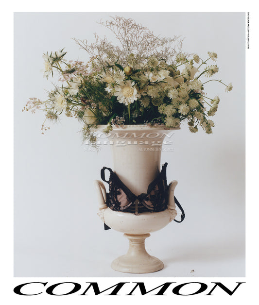 Common Language N°7-3