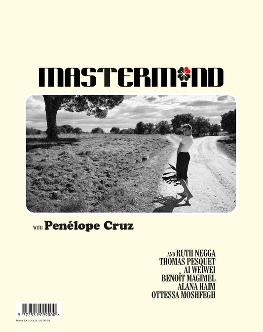 Mastermind N°11