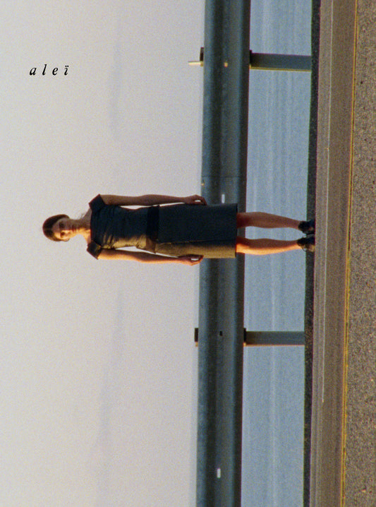 Aleï Journal N°15-3