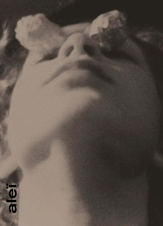 Aleï Journal N°5-1