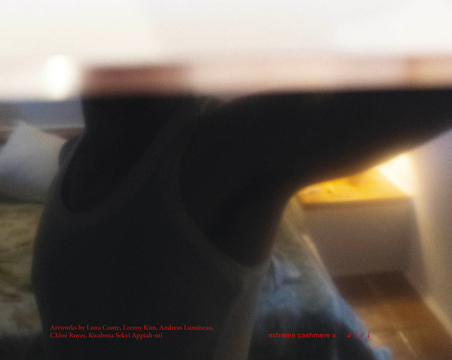 interpretations - extreme cashmere & aleï