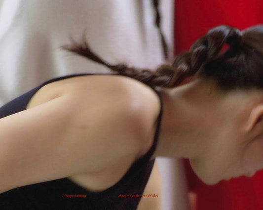 interpretations - extreme cashmere & aleï