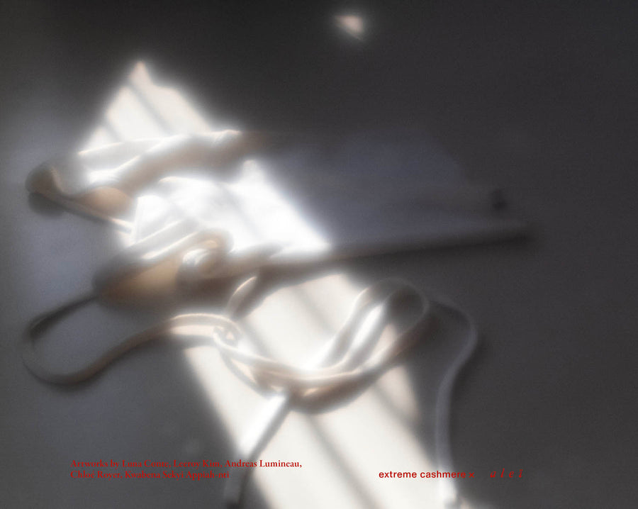 interpretations - extreme cashmere & aleï