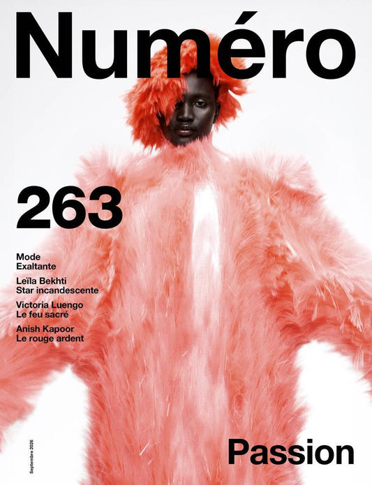 Numero N°263