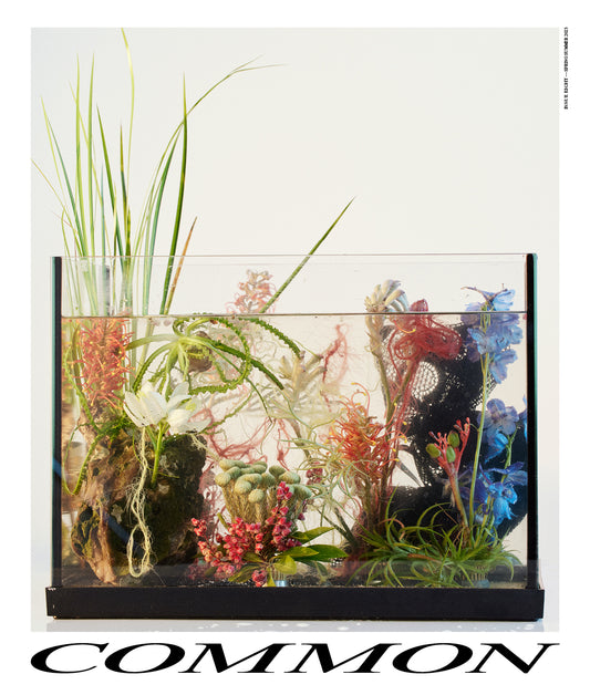 Common Language N°8