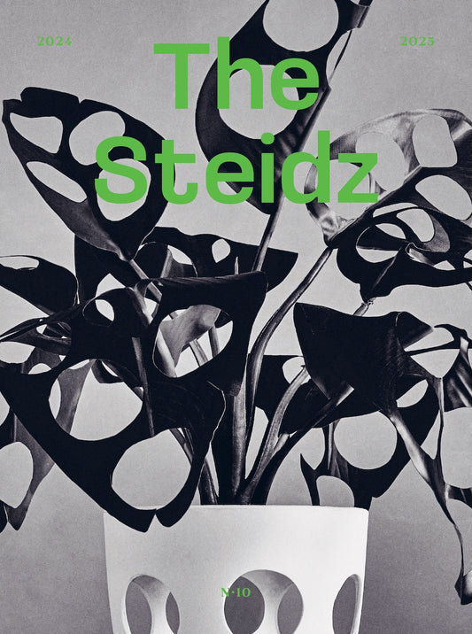 The Steidz N°10